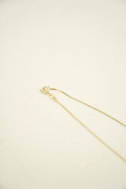 Noctis Gold Zincir