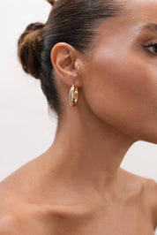 Orion Gold Halka Küpe
